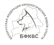 gallery/логотипы бфквс5